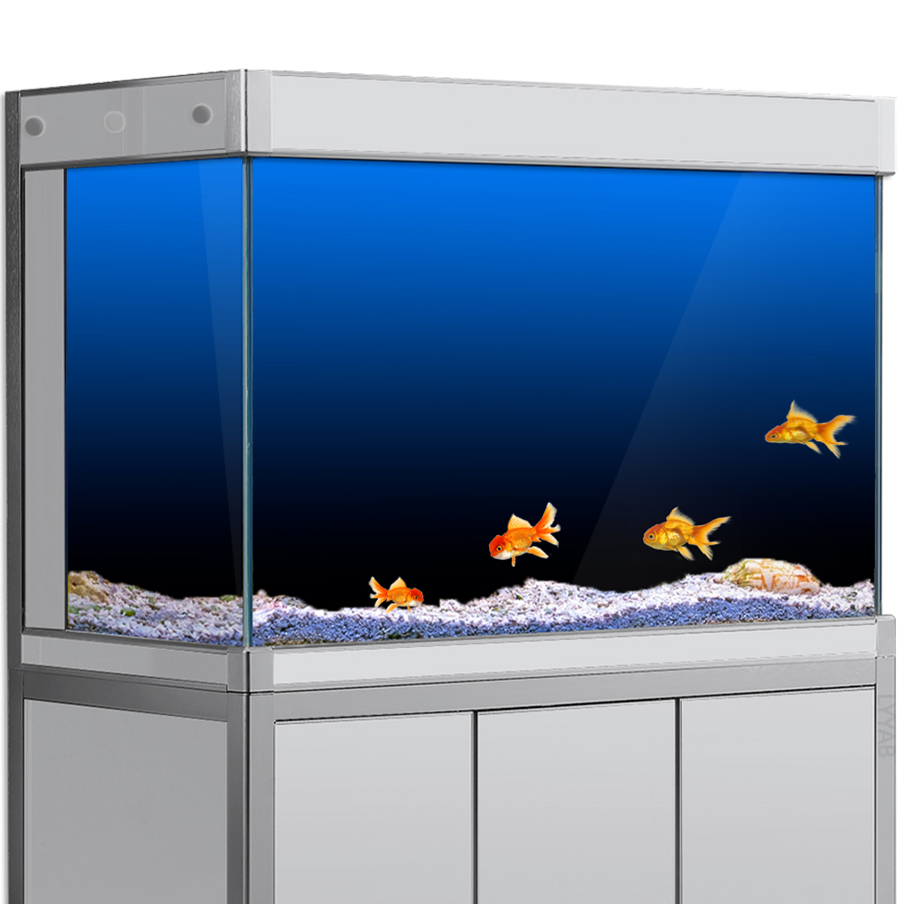 Aquarium Fish Black - Pegatina de fondo de pecera, papel