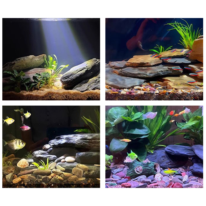Kit de piedras para paisajismo - Aquarium Fish Land reseña y precio
