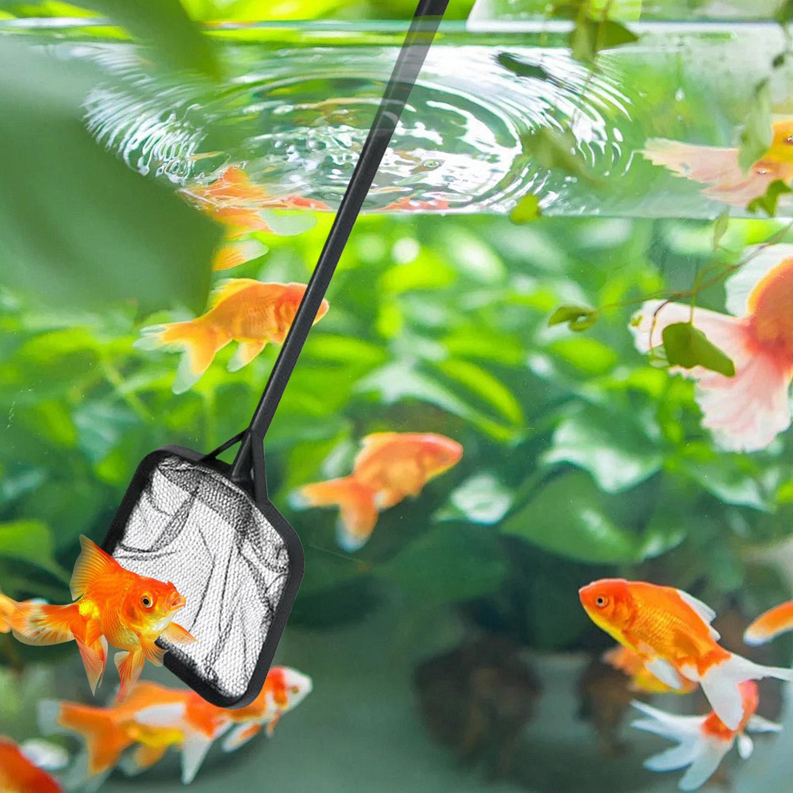 Redes de limpieza para piscina - Aquarium Fish Maintenance reseña y precio