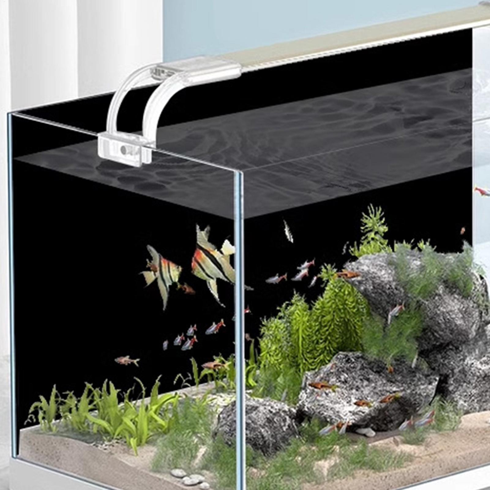 Fondo de Acuario Negro, Vinilo - Aquarium Fish Black reseña y precio