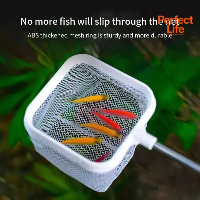 Red de pesca de acero inoxidab - Aquarium Fishland reseña y precio