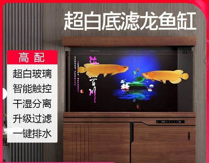 Acuario Xilong grande y median - Aquarium Xilong reseña y precio