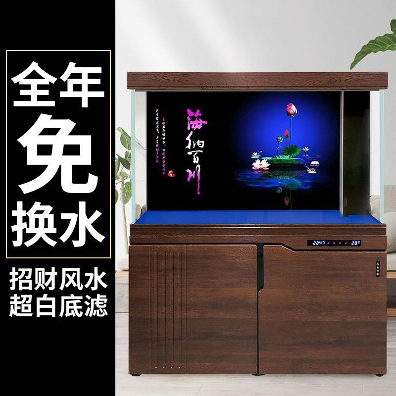 Acuario Xilong grande y median - Aquarium Xilong reseña y precio