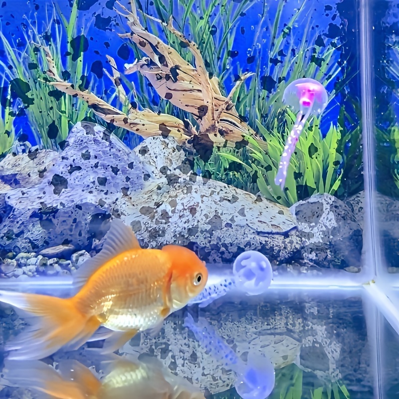 Decoración de acuario con medu - Aquarium Fish Discus reseña y precio