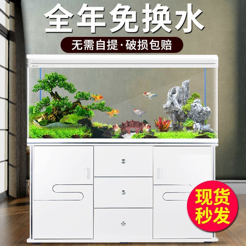 Acuario Xilong para peces, peq - Aquarium Xilong reseña y precio