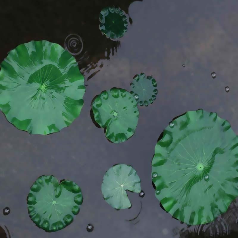Hojas de Loto Artificiales 202 - Aquarium Fish Artificial reseña y precio