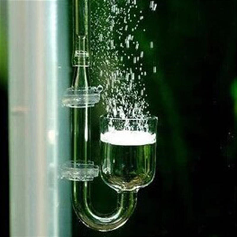 Difusor de CO2 en Forma de U d - Aquarium Fish Discus reseña y precio