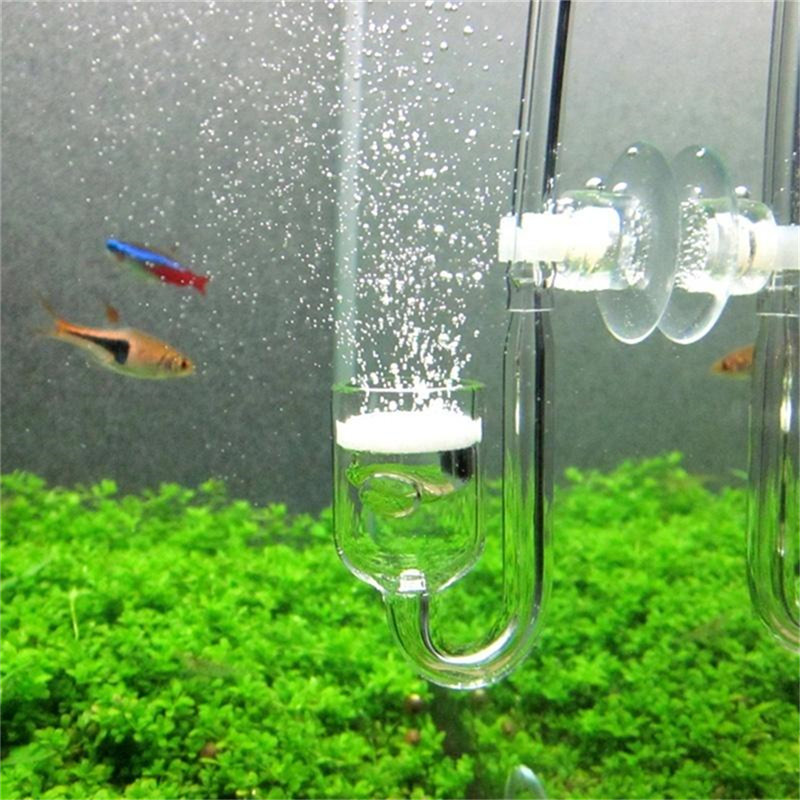 Difusor de CO2 en Forma de U d - Aquarium Fish Discus reseña y precio