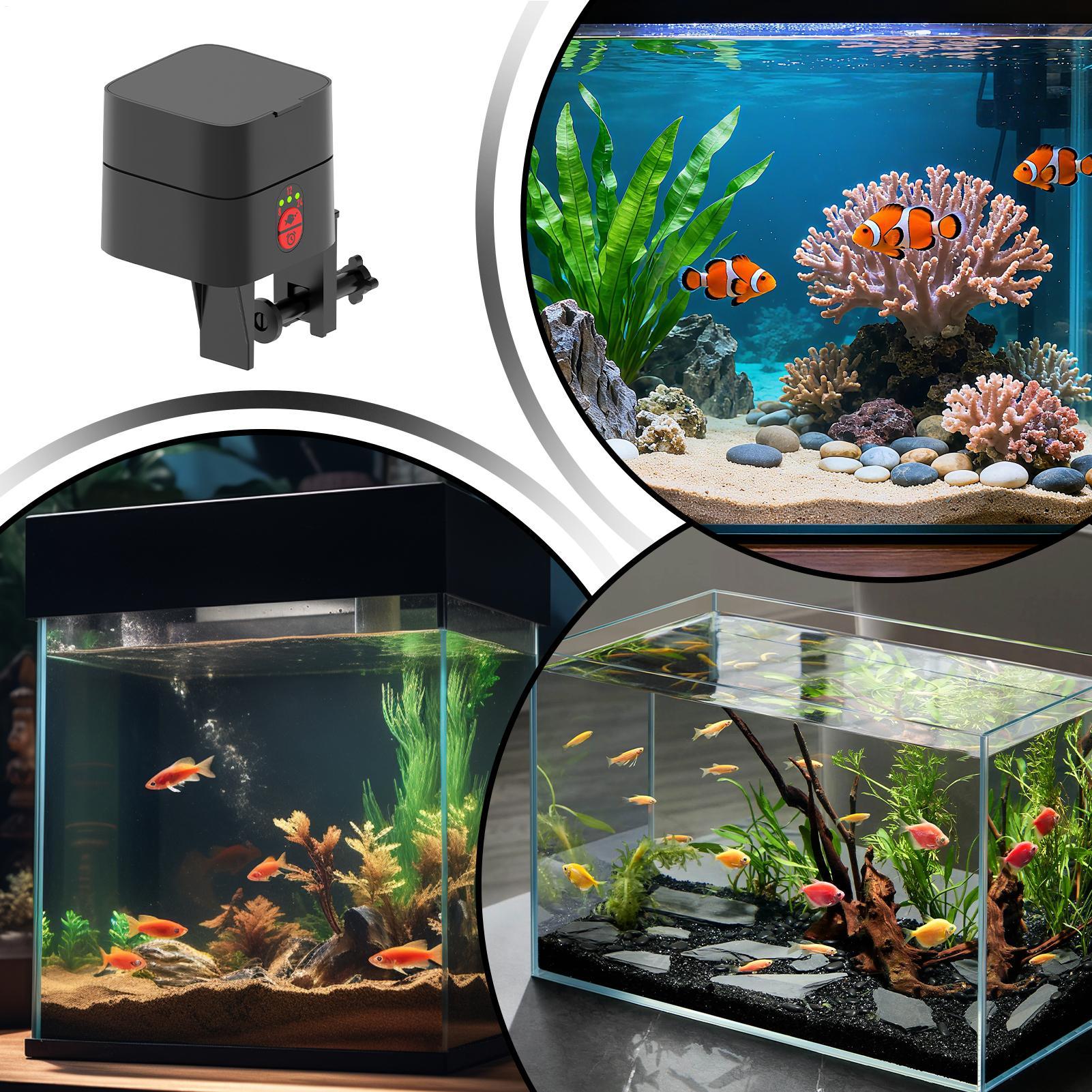 Alimentador automático de tort - Aquarium Fish Auto Feeder reseña y precio