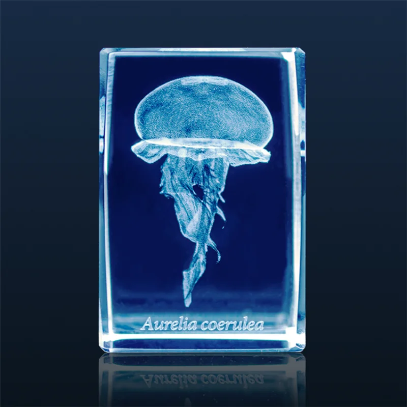 Figura de acuario de medusas G - Aquarium Fish Discus reseña y precio