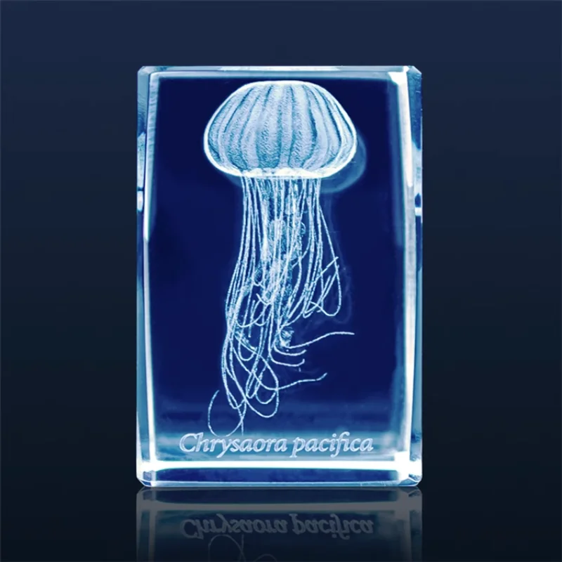 Figura de acuario de medusas G - Aquarium Fish Discus reseña y precio