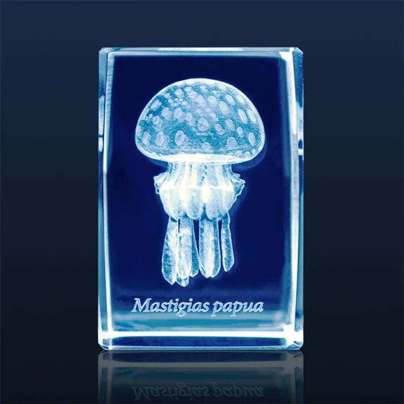 Figura de acuario de medusas G - Aquarium Fish Discus reseña y precio