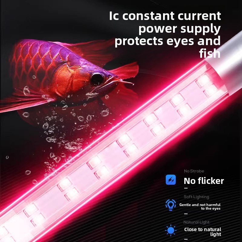 Luz LED de espectro completo p - Aquarium Fish Discus reseña y precio