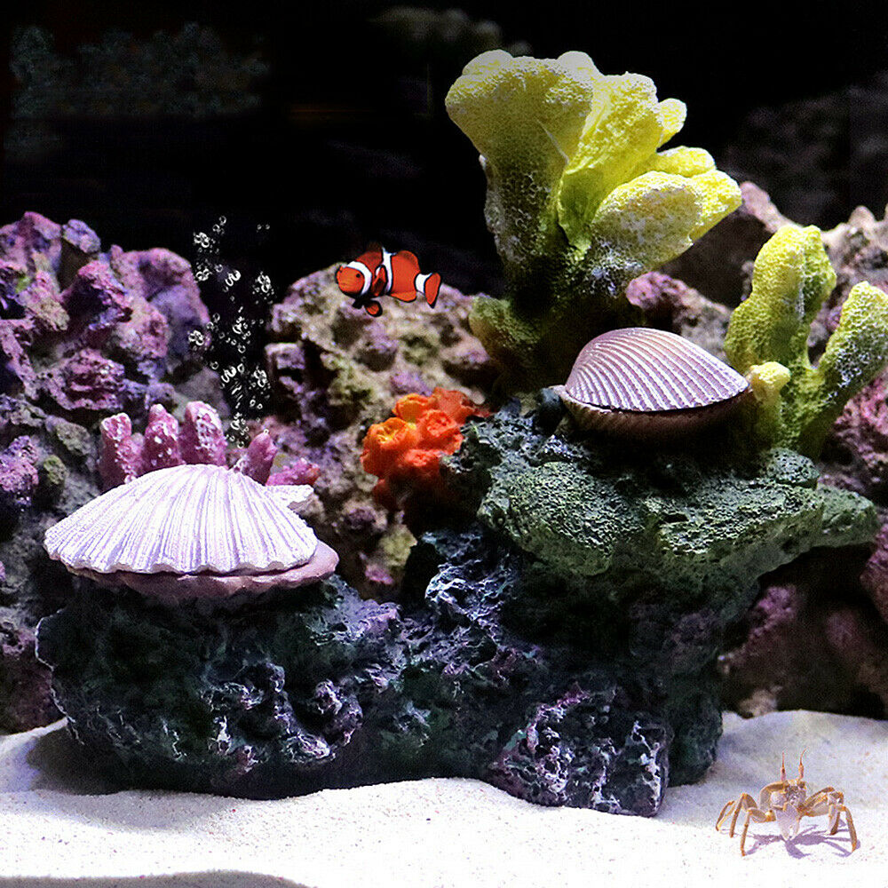 Adornos de acuario de arrecife - Aquarium Fish Discus reseña y precio