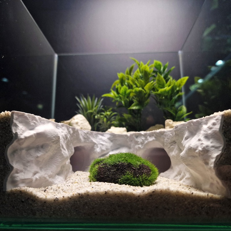 Túnel Escondite 2 en 1 para Ag - Aquarium Fishland reseña y precio