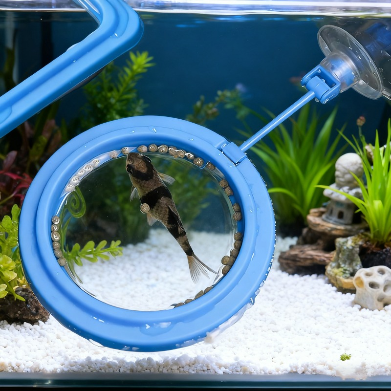 Anillo de Alimentación para Pe - Aquarium Fish Auto Feeder reseña y precio
