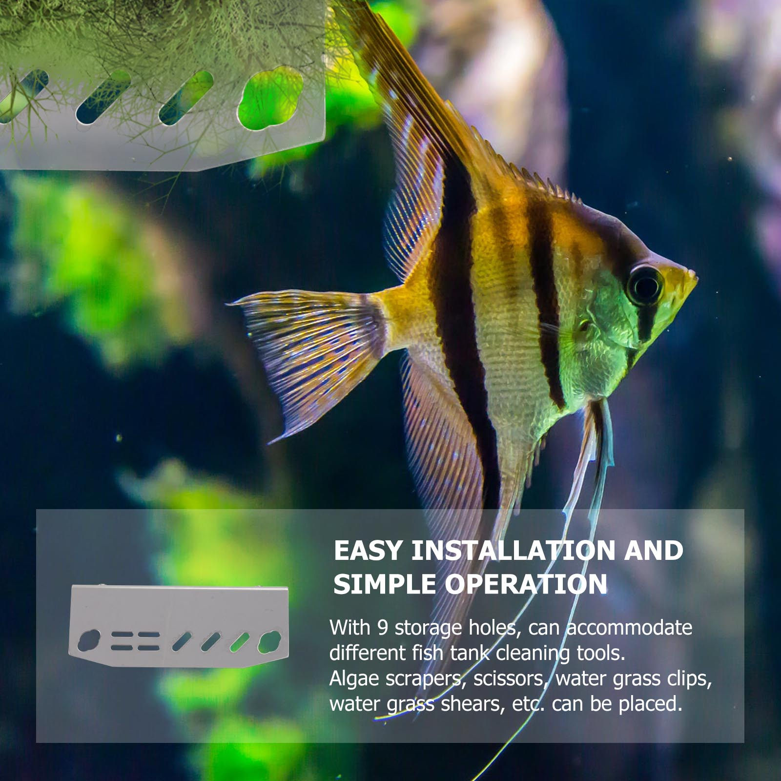 Organizador de Herramientas pa - Aquarium Fish Maintenance reseña y precio