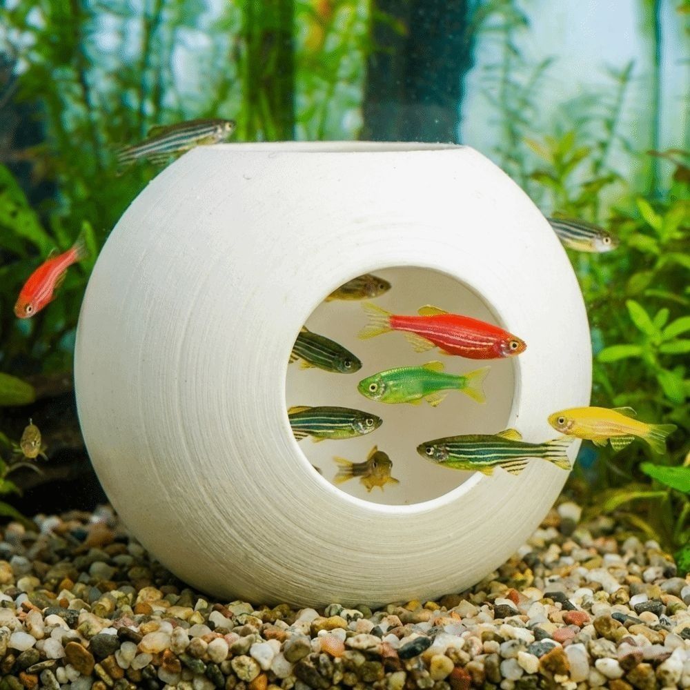 Cueva Esférica de Plástico par - Aquarium Fish Discus reseña y precio