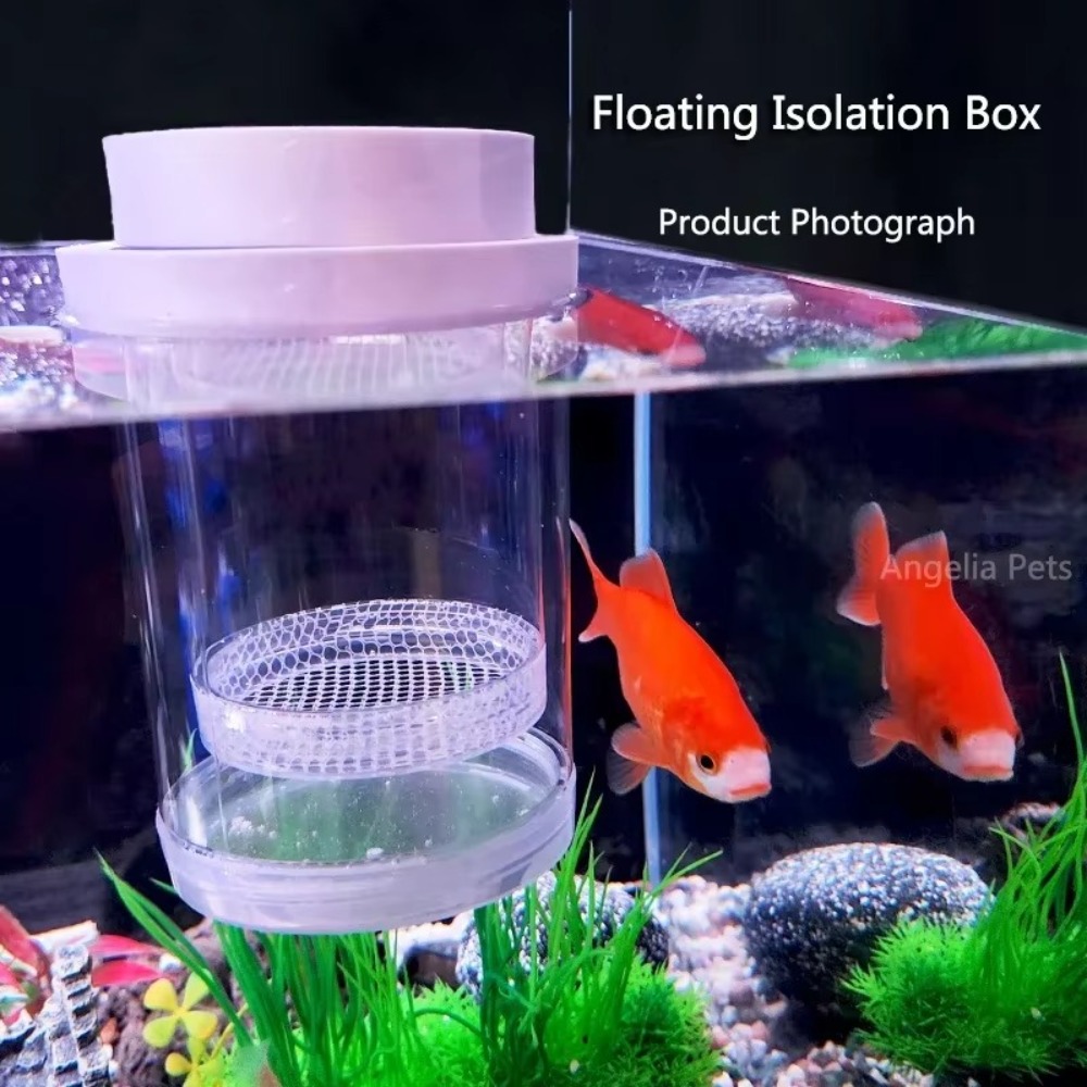 Caja de aislamiento flotante d - Aquarium Fish Auto Feeder reseña y precio