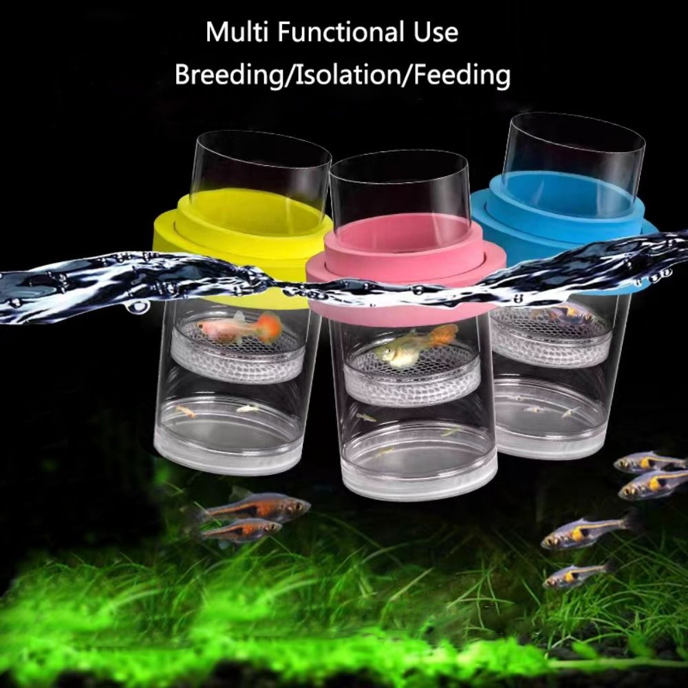 Caja de aislamiento flotante d - Aquarium Fish Auto Feeder reseña y precio