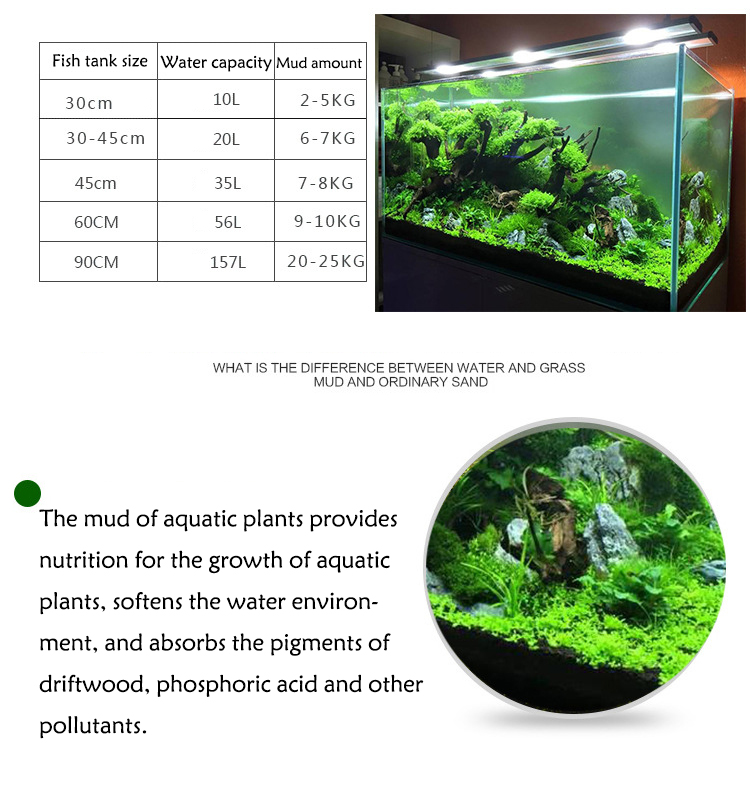 Semillas de plantas de Acuario - Aquarium Fish Land reseña y precio