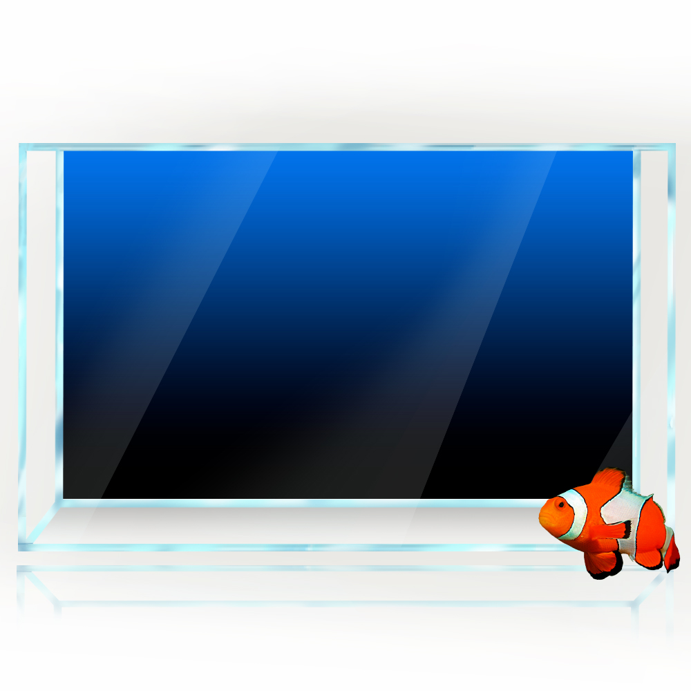 Pegatina de fondo de pecera, p - Aquarium Fish Black reseña y precio