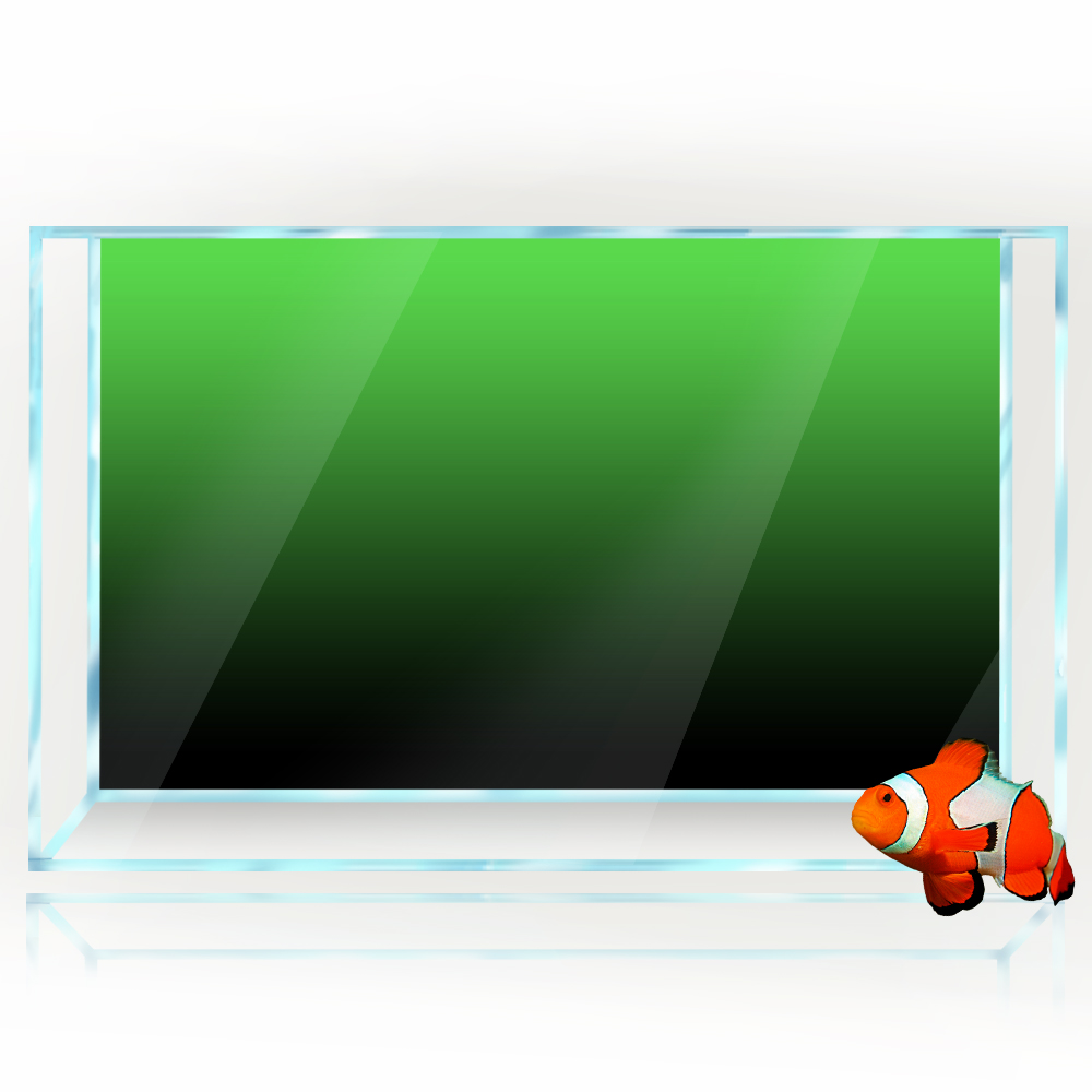 Pegatina de fondo de pecera, p - Aquarium Fish Black reseña y precio