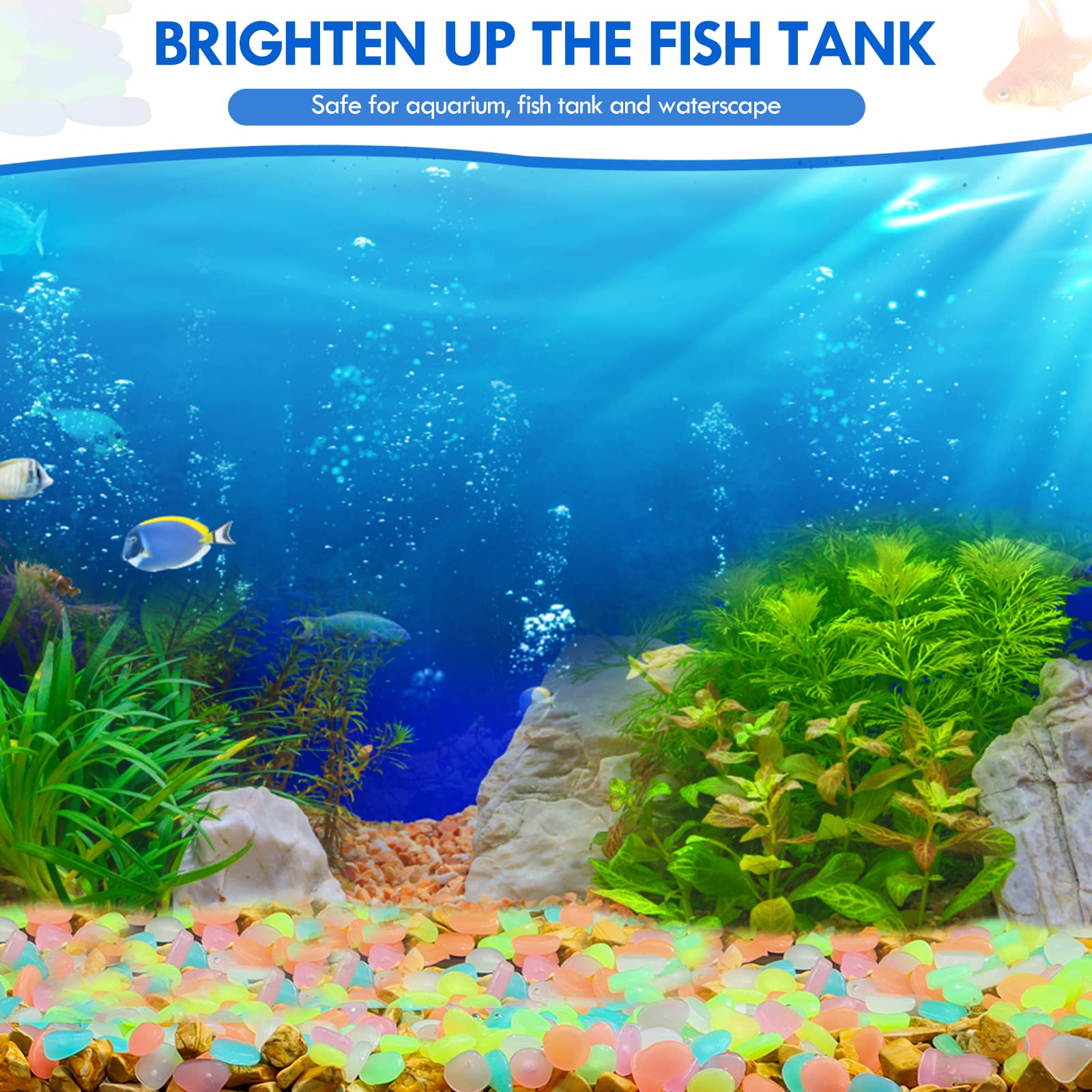 100 Uds. De guijarros que bril - Aquarium Fish Land reseña y precio