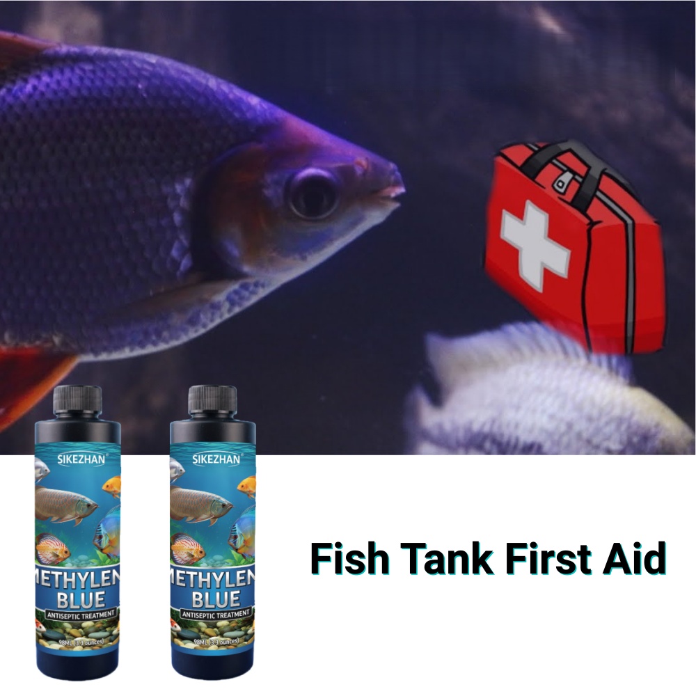 SIKEZHAN Solución de Azul de M - Aquarium Fish Discus reseña y precio