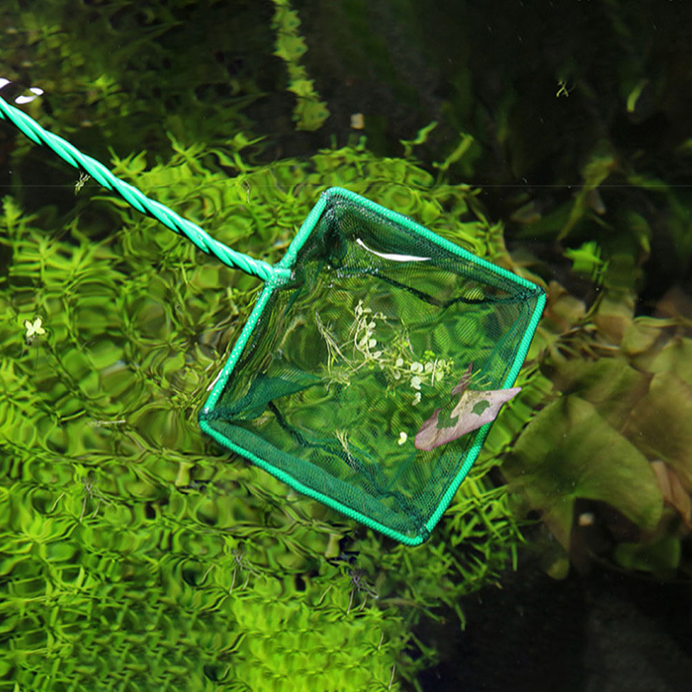 2 Redes Portátiles para Peces, - Aquarium Fishland reseña y precio