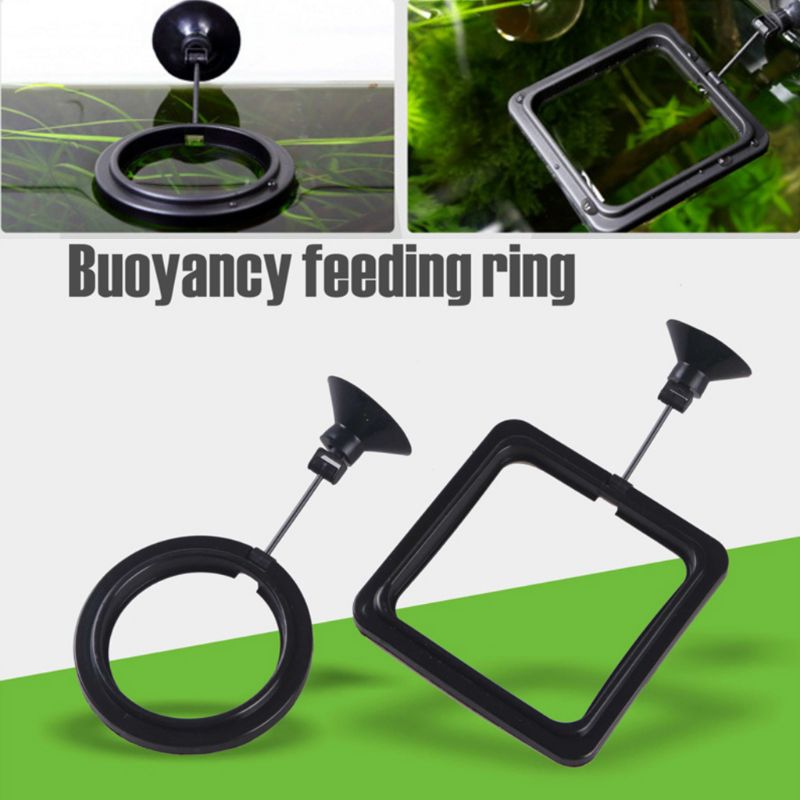 Anillo de Alimentación para Pe - Aquarium Fish Auto Feeder reseña y precio